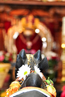 2015-02-17 Maha Sivaratri - Rudrabhishekam